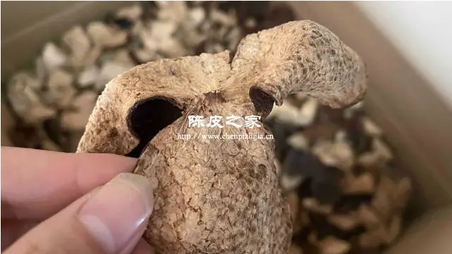 瑞隆安新会陈皮是正品