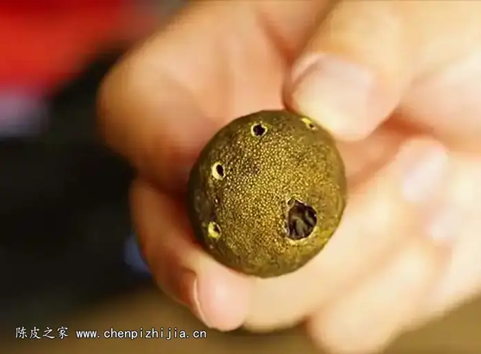 小青柑不踩坑秘诀