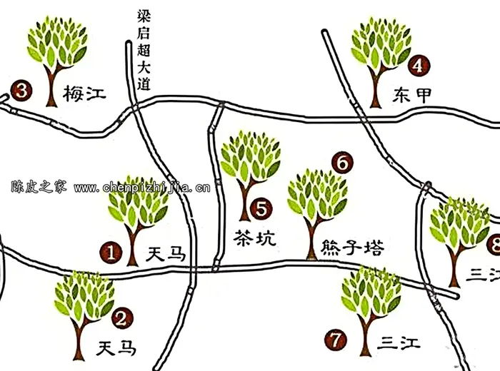 新会陈皮根据什么分为一线二线三线