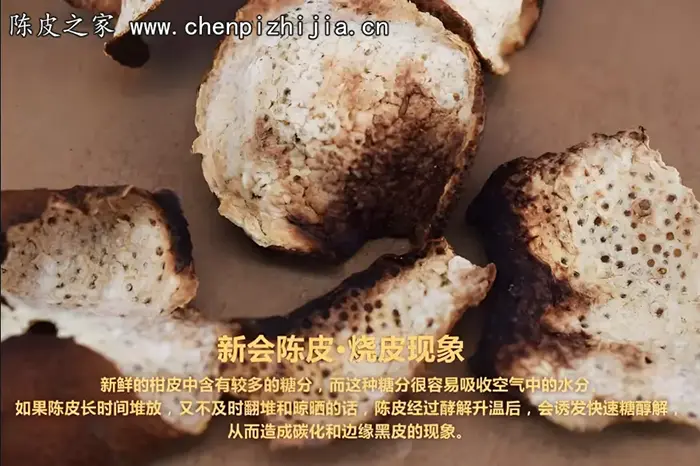 陈皮烧皮的原因