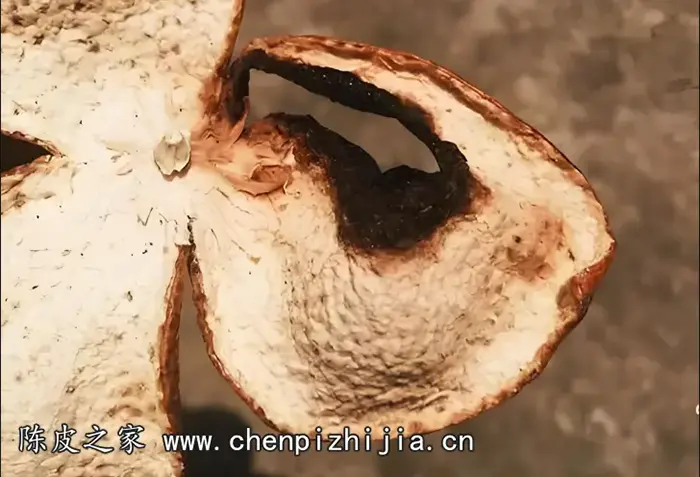 新会陈皮烧皮后还能要吗