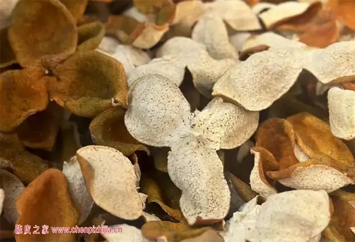陈皮怎样加快陈化速度？两种方法建议收藏