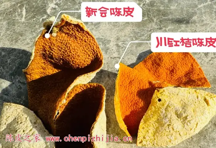 新会陈皮和普通陈皮有啥不一样