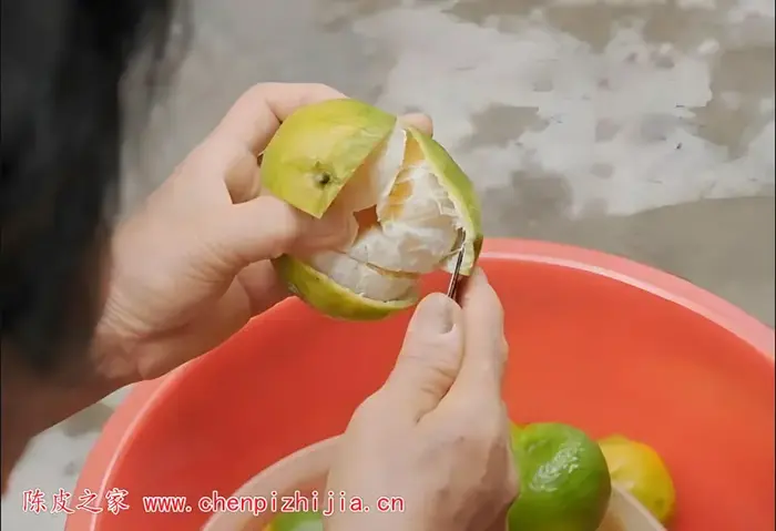 陈皮手动开皮示意图