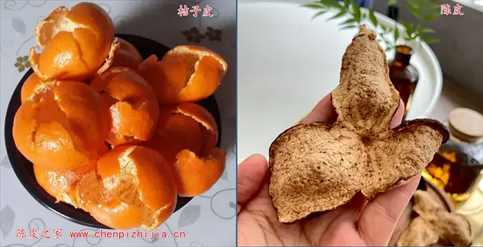 平时吃的桔子皮跟陈皮有什么不一样