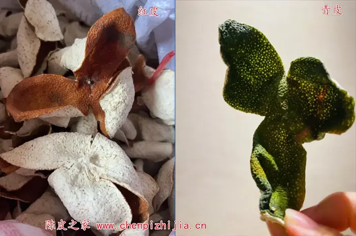 怎样分辨陈皮中的红皮和青皮