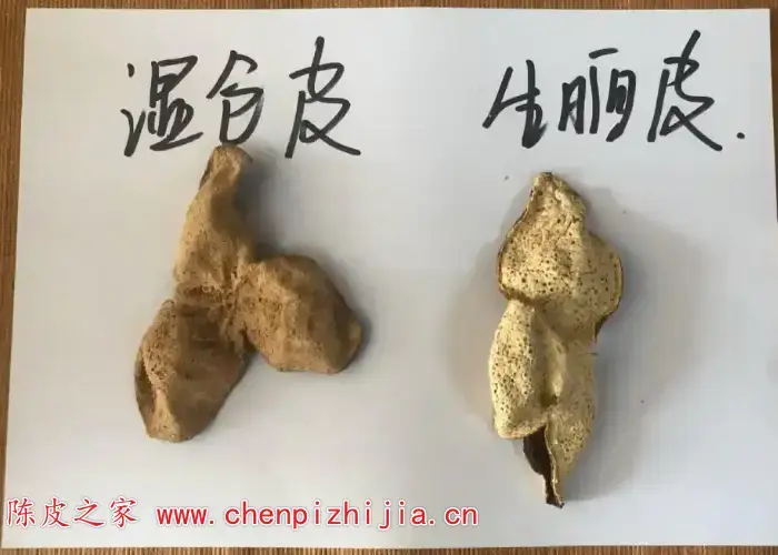 湿仓陈皮和干仓陈皮的区别有哪些