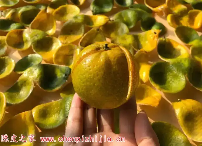 自制陈皮需要蒸晒吗