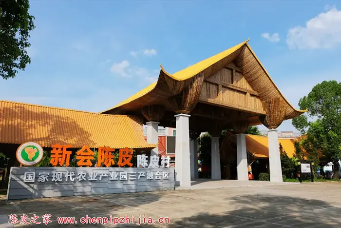 最好的陈皮是哪里做的？新会陈皮公认是最好的陈皮