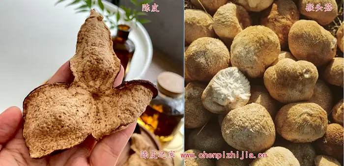 陈皮和猴头菇