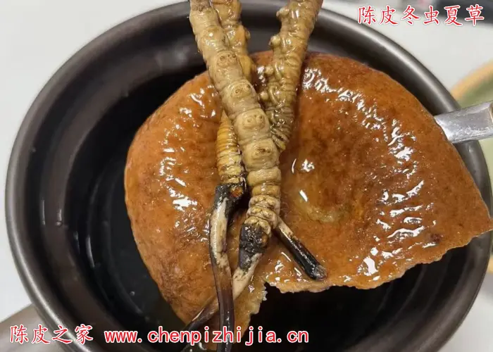陈皮和冬虫夏草能一块煮着喝吗