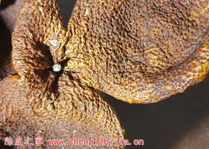 新会陈皮怎么看是不是外地陈皮冒充的