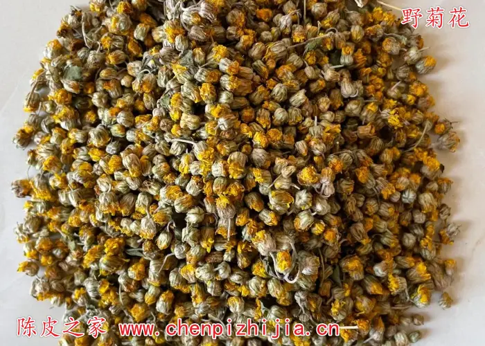野菊花陈皮泡水的功效与作用