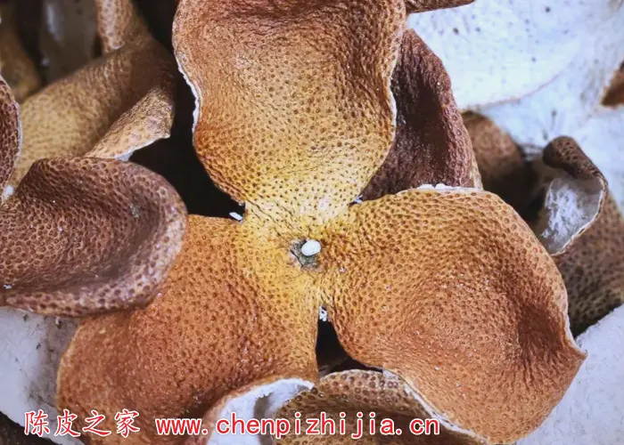 为什么都说新会陈皮好