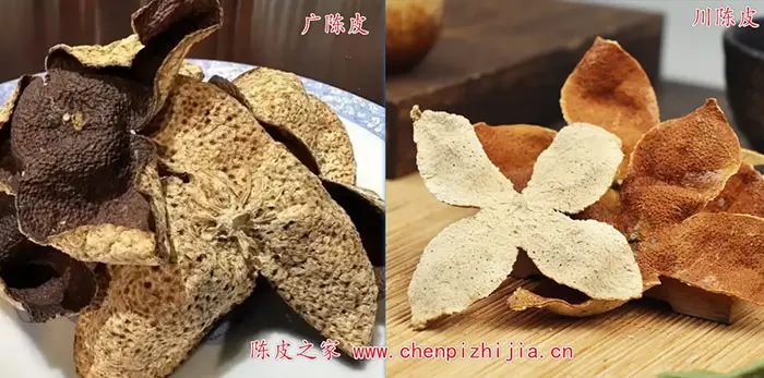 川陈皮和广陈皮的区别，你能分辨广陈皮和川陈皮吗？