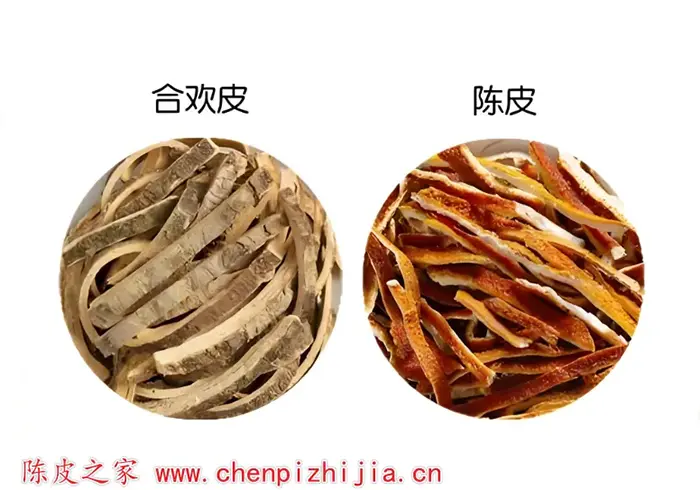 陈皮和合欢皮泡水的功效和适合人群