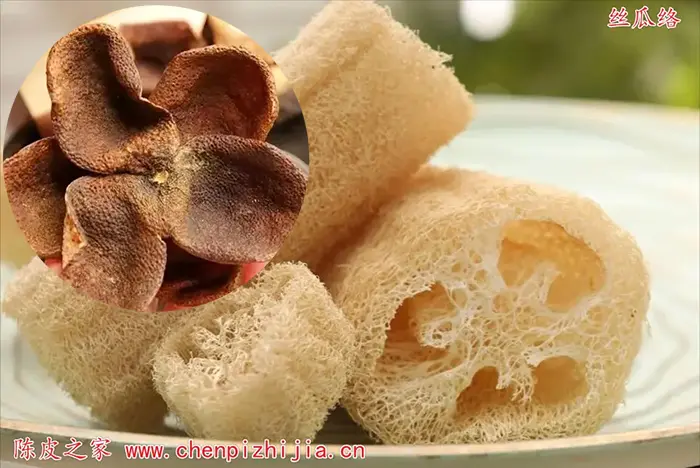 丝瓜络与陈皮的功效与作用有哪些