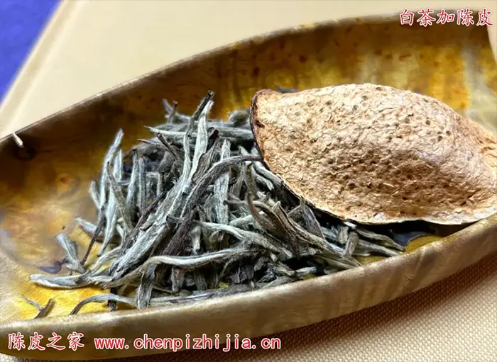 陈皮白茶搭配
