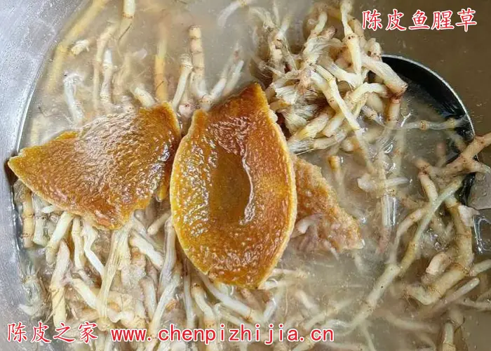 鱼腥草可以和陈皮一起吃吗