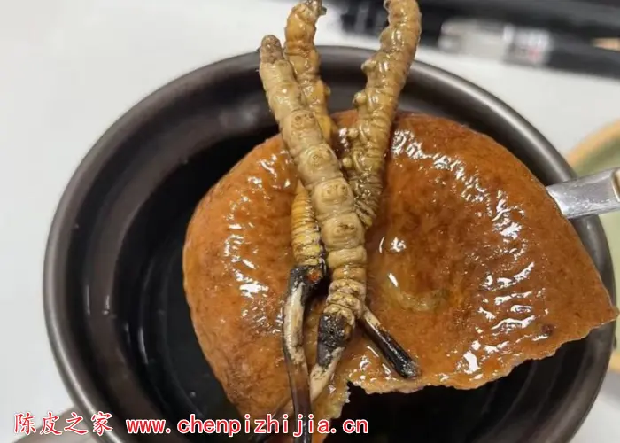 陈皮和虫草一起泡水喝
