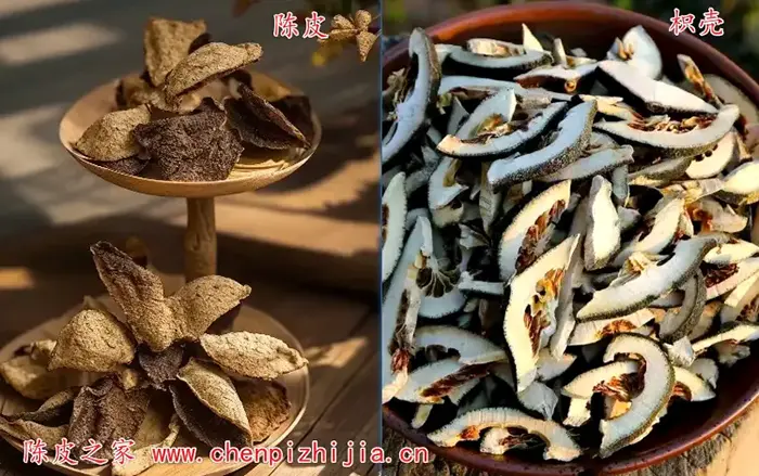 陈皮枳壳对比图