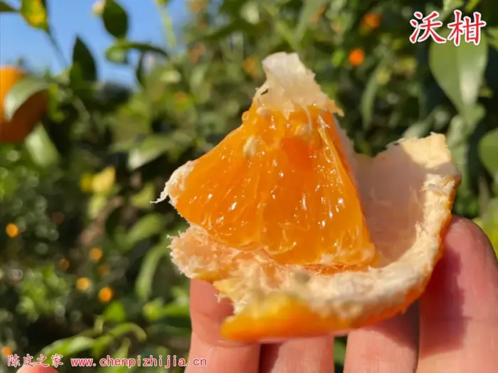 橘子皮跟沃柑一样的用途吗