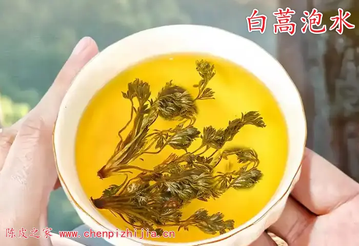 白蒿和陈皮泡水功效与作用有哪些