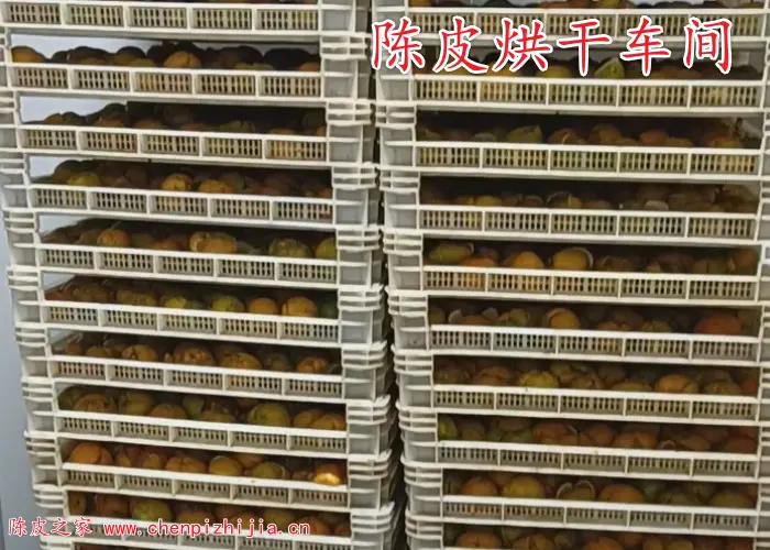 制作陈皮可以烘干吗？两种烘干陈皮有什么区别？