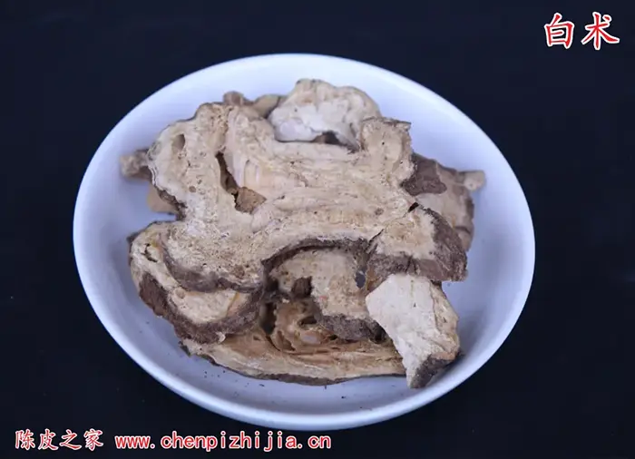 白术图片