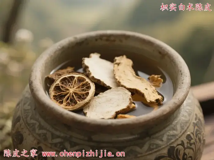 枳实白术陈皮可以一起泡水喝吗