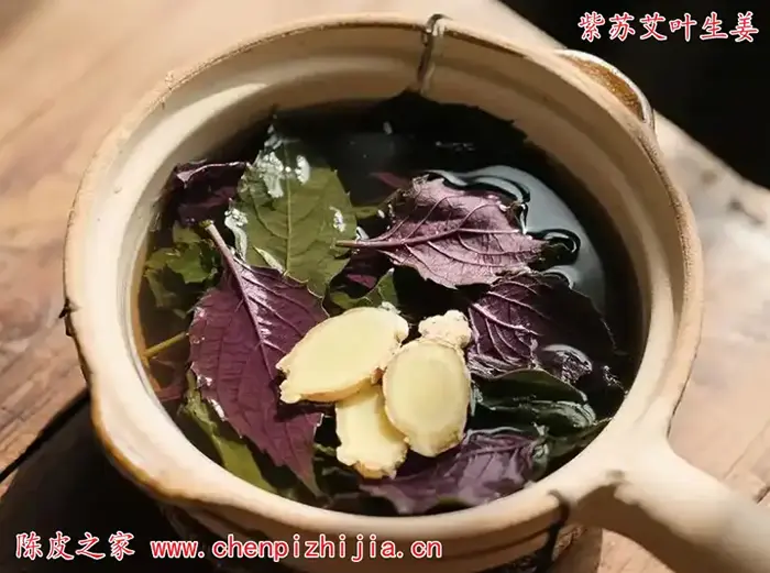紫苏艾叶陈皮生姜功效与作用禁忌