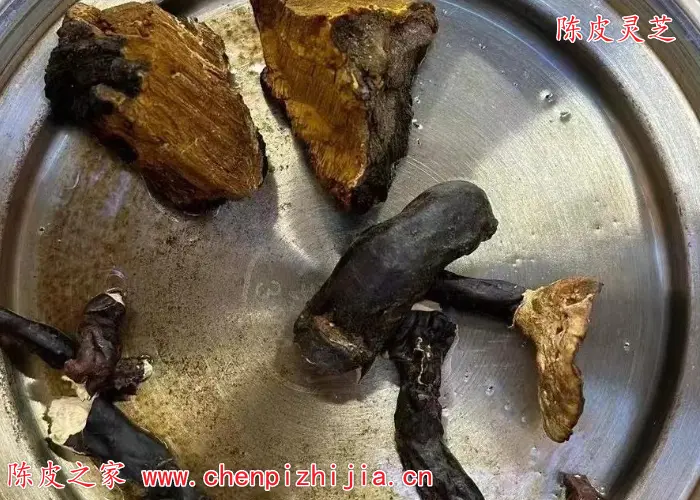 陈皮和灵芝可以一起泡水喝吗