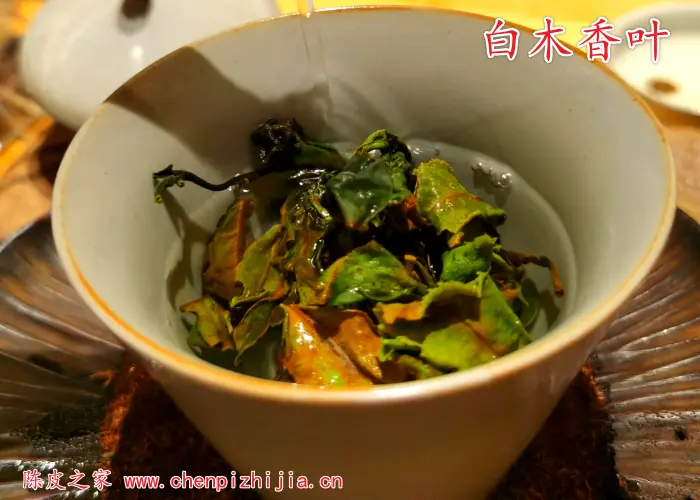 白木香叶陈皮茶对人的身体有什么好处