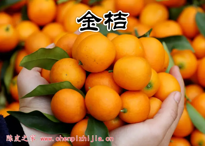 金桔可以跟陈皮泡水用来止咳吗