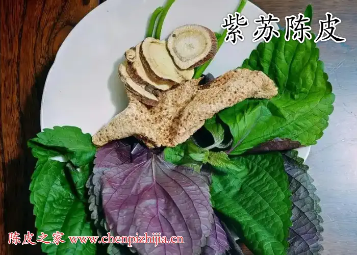 紫苏叶艾草生姜的功效与作用及禁忌