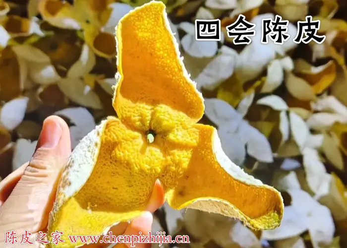 四会陈皮算新会陈皮吗？四会陈皮究竟是什么陈皮