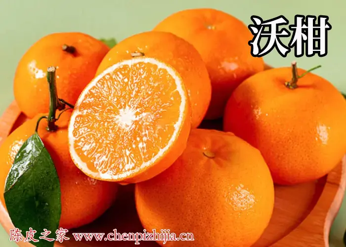 沃柑的皮可以制作陈皮吗