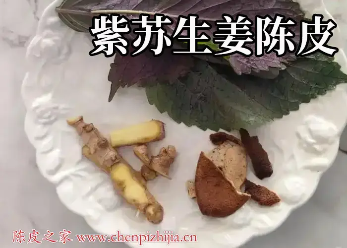 紫苏橘子皮生姜煎水喝好吗