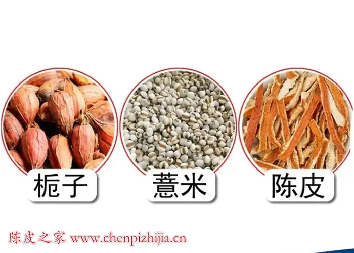 栀子薏米陈皮一起泡水水温多少度