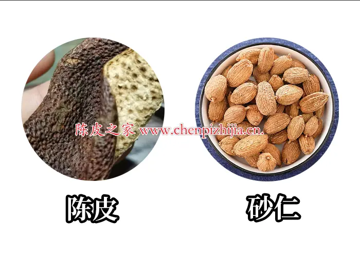 砂仁和陈皮一起泡水喝什么功效